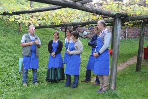 Wimmfest bei der größten und ältesten Rebe der Welt: