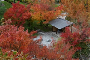 Herbst in den Gärten von Schloss Trautmansdorff: der Japanische Garten.