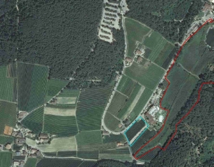 Die blau eingezeichnete Fläche wurde umgewidmet, um die geplante Erweiterung des Gartenhotels Moser (rechts im Bild) zu ermöglichen; das Biotop ist rot eingezeichnet.
