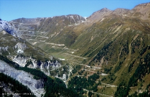 LPA