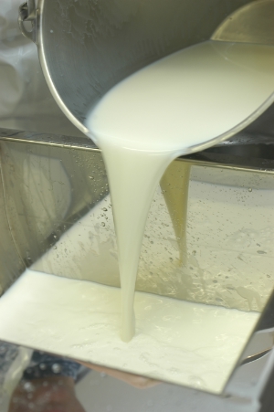 Auf die Bedeutung der Milch, von der in Südtirol im Jahr 2012 an die 390 Millionen Kilogramm erzeugt wurden, verweist Landeshauptmann Durnwalder aus Anlass des Weltmilchtages an diesem Samstag.