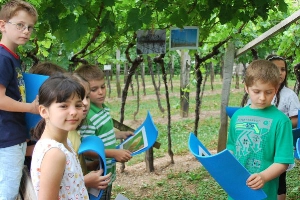 Kinder erfahren Interessantes und Wissenswertes zu Rebe und Traube.
