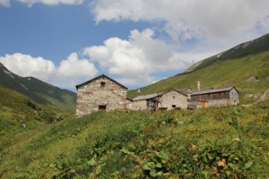 Der Euregio-Ort des Monats August: die Jagdhausalm im Osttiroler Defreggental, die älteste Alm Österreichs.