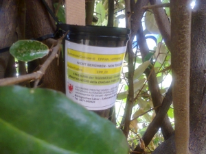Mit speziellen Mücken-Eiablagefallen ("Ovitraps") ist das Biologische Landeslabor den Tigermücken auf der Spur.