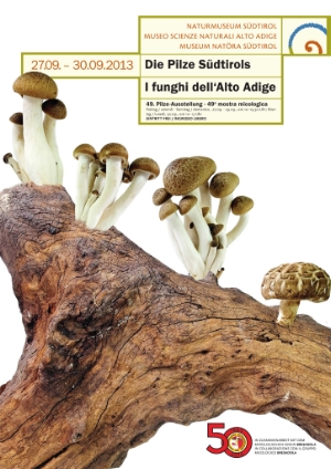 Ausstellung „Die Pilze Südtirols“ im Naturmuseum Südtirol