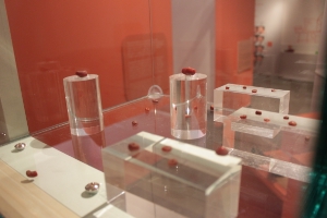 Im Mittelpunkt der Führung am 12. Oktober stehen spätbronzezeitliche Bernsteinperlen aus dem Finailtal in der Sonderausstellung "mysteriX" im Archäologiemuseum.