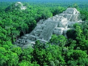 Einen Bildervortrag zu Botanik und Landschaft Guatemalas gibt es am 15. November im Naturmuseum