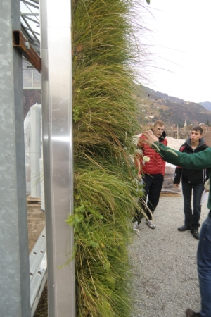 Die Schüler des vierten Schuljahres der FS Laimburg mit der Spezialisierung zum Landschaftsgärtner der Fachschule Laimburg haben die Theorie aus Bodenkunde und Garten- und Landschaftsbau mit der Praxis in den Gartenbaubetrieben verglichen.