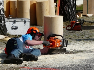 Eine Ausbildung in Forstwirtschaft ist in Südtirol nur an der Fachschule Fürstenburg in Burgeis möglich.