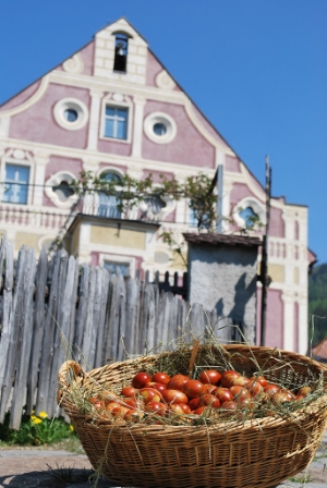Mit einer Ostereiersuche startet das Volkskundemuseum in die neue Saison