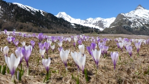 Der Winter weicht nun auch in höheren Lagen dem Frühling: Im Bild Kurzras im Schnalstal vor wenigen Tagen.