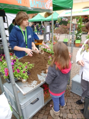Wie topft man Jungpflanzen fachgerecht ein? Am Infostand am Bozner Blumenmarkt wurde es dem interessierten Publikum gezeigt