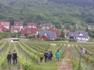 Die Schülergruppe der Fachschule Laimburg während ihres Besuches in der Partnerschule in Veitshöchheim