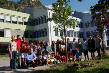 Auf den Namen "Walter" haben die Schüler der Mittelschule Klausen ihren Ginkgobaum getauft