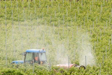 Ausbringen von Pflanzenschutzmitteln im Weinberg. Foto: LPA/ohn.