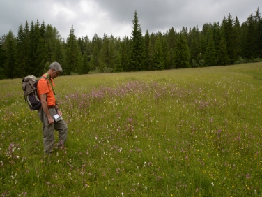 Rund 100 Experten untersuchten Pflanzen und Tiere in St. Felix am Nonsberg./Foto LPA