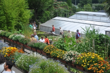 Begutachtung und Beratung: Auf reges Interesse stieß die Balkonblumenschau in der Gärtnerei der Laimburg an diesem Wochenende.