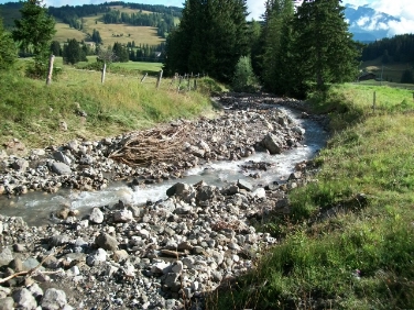 Die Unwetterschäden am Saltriabach  haben die Mitarbeiter des Landesamtes für Wildbach- und Lawinenverbauung behoben.