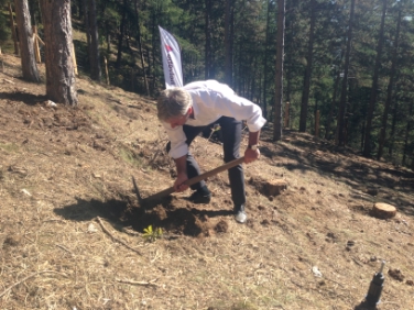 Auftakt für das Projekt "CR Protection Forest" gesetzt: Landesrat Schuler beim Pflanzen des ersten Bäumchens in den Laaser Leiten.