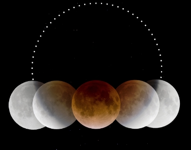 Die Phasen einer Mondeklipse sind unter anderem Thema des Vortrages von Roberto Casati./Foto Naturmuseum Südtirol