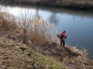 Nach einem auf mehrere Jahre angelegten Plan führt die Landesabteilung Wasserschutzbauten Uferpflegearbeiten entlang der Etsch durch.