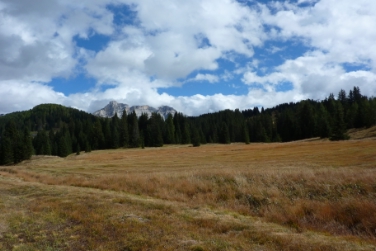 Das Biotop Braia Freida in Corvara muss nicht einem Speicherbecken weichen./Foto LPA