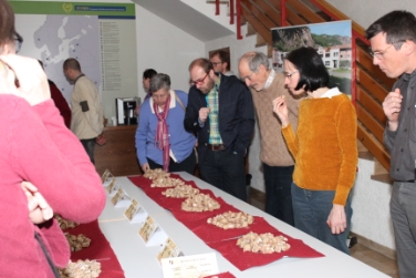 Die Tagungsteilnehmer konnten Brotspezialitäten verkosten, die aus den Landsorten hergestellt worden sind (Foto Bauer/VZ Laimburg)