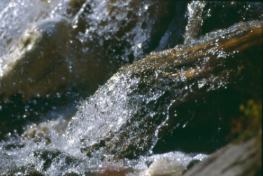 Die nachhaltige Nutzung des Wassers ist Thema des vierten Trinkwasserforums in Nals./Foto LPA