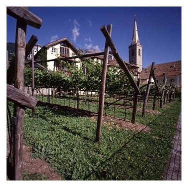 Weinmuseum startet ins Museumsjahr
