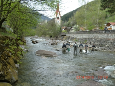 Unterwegs zum Schutz der Äsche aus der Familie der Lachsfische: Mitarbeiter der Landesfischzucht beim Laichfischfang in der Ahr, im Hintergrund St. Moritzen bei Sand in Taufers.