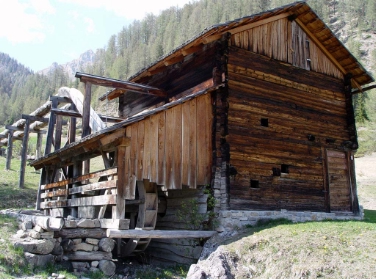 Jeden Mittwoch bietet das Museum Ladin geführte Wanderungen ins Mühlental an (FOTO: Museum Ladin)