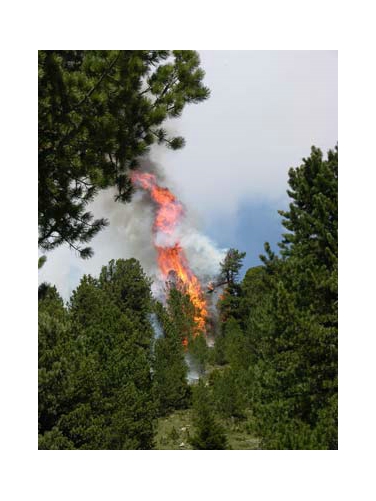 Extreme Waldbrandgefahr