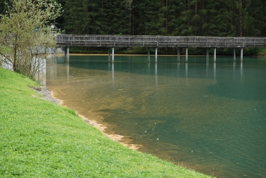 Der gelblich-braune Film im Mühlwalder Stausee ist auf die Pilzsporen des Fichtennadelblasenrostes zurückzuführen.
