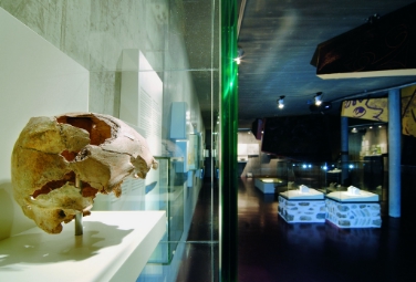 Ausstellungsraum im St. Prokulus Museum (FOTO: Landesmuseen)