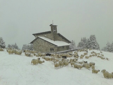 Schnee zum astronomischen Herbstanfang: Das Bild wurde am 23. September auf der Plose mit 25 Zentimetern Neuschnee aufgenommen.