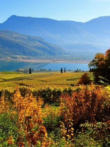 Der Kalterer See in Südtirol in herbstliche Farben getaucht - Foto: EVTZ/Albert Ceolan