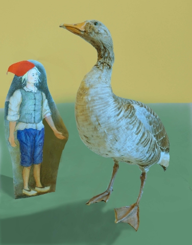 Bei einem Tischtheater, inspiriert vom Roman „Die wunderbare Reise des kleinen Nils Holgerson mit den Wildgänsen“, können Kinder im Naturmuseum in Bozen das Leben und Wanderverhalten der Wildgänse kennenlernen (FOTO: Naturmuseu