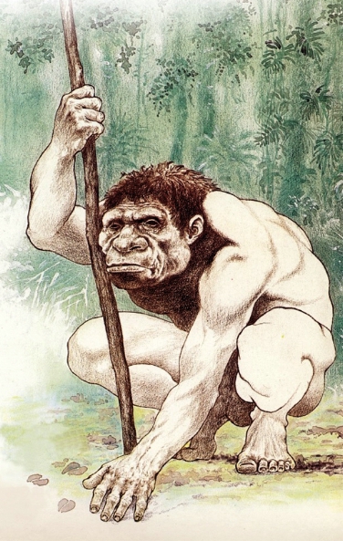 Vortrag zur Entwicklung der Menschheit im Naturmuseum  (FOTO: Naturmuseum)