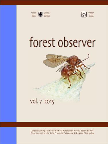 Soeben erschienen: die siebte Ausgabe der Fachzeitschrift "forest observer" der Landesabteilung Forstwirtschaft.