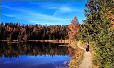 Das Herbstbild von Cecilia Meggio