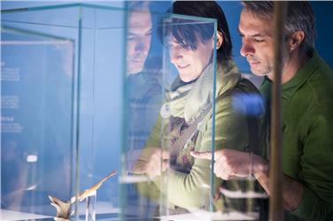 Funde aus den Alpengletschern sind noch bis zum 10. Jänner in der Sonderschau „Frozen Stories“ im Südtiroler Archäologiemuseum in Bozen zu sehen