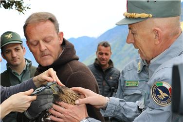 Schnabelvermessung vor der Entlassung in die Freiheit: (v.li.) Förster Michael Stofner, Campei und Gamper vom Pflegezentrum für Vogelfauna, Oberst Furlan.