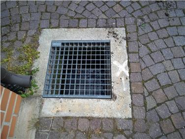 In einem sonnenexponierten Gully in Leifers wurden vor einigen Tagen erste Tigermückenlarven entdeckt.