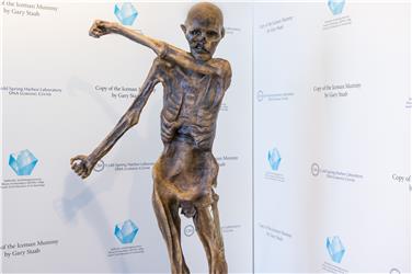 Die Kopie von Ötzi wurde im Archäologimuseum in Bozen vorgestellt (FOTO: (FOTO: Südtiroler Archäologiemuseum))