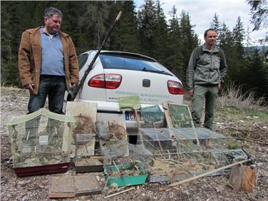 Unter Schutz stehende Vögel beschlagnahmt und befreit; links im Bild Andrea Ragazzoni, Mitarbeiter des Landesamtes für Jagd und Fischerei.