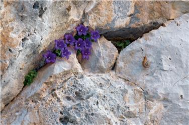 Die Zukunft in den Dolomiten gemeinsam zu planen: Dazu sind die UNESCO Welterbegemeinden eingeladen.