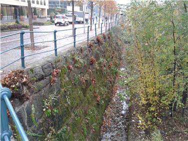 Uferpflegearbeten sind ein wesentlicher Teil des Hochwasserschutzes: Das Bild wurde vor Abschluss der Arbeiten des Amtes für Wildbach- und Lawinenverbauung West der Agentur für Bevölkerungsschutz aufgenommen.