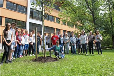 Die Schulklasse 3F der Mittelschule Neumarkt, Gartenkuratorin Karin Kompatscher und das Trauttmansdorffer Gärtner-Team, Schuldirektor Armin Haller, Schulinspektor Alber, Bürgermeister Pichler und Lehrpersonen mit der neu gepflanzten Magnolie.