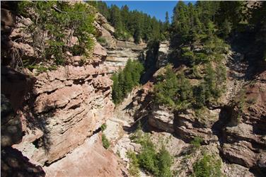 Eine Reise durch Jahrmillionen erleben die Teilnehmerinnen und Teilnehmer einer geführten Wanderung durch die Bletterbachschlucht.