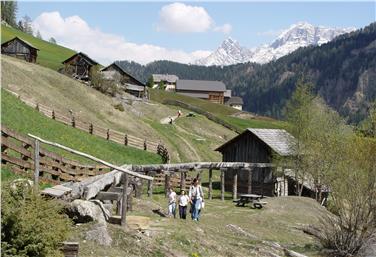 Jeden Mittwoch organisiert das Museum Ladin geführte Wanderungen ins Mühlental - Foto: LPA/Museum Ladin
